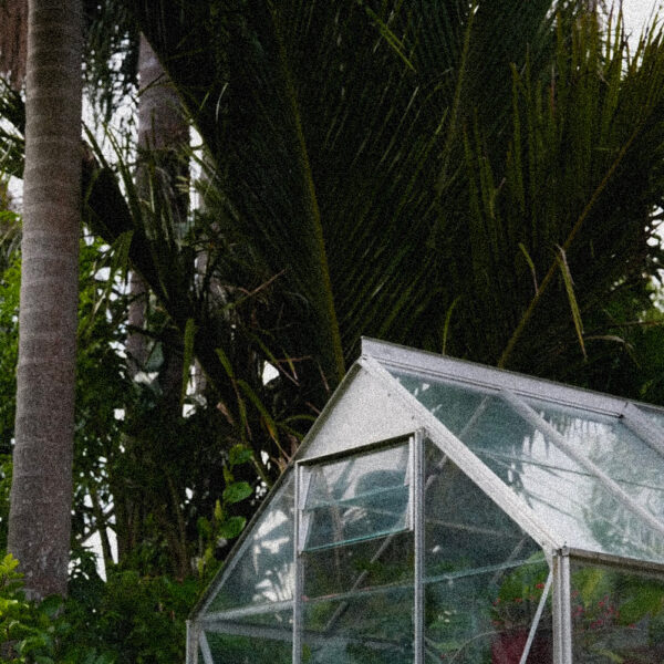 Design Like a Gardener: Cultivating Connection and Craft